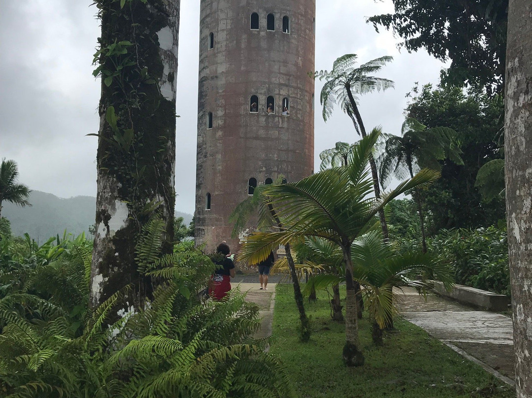 Louie's VIP Tours-云盖国家森林公园必去景点