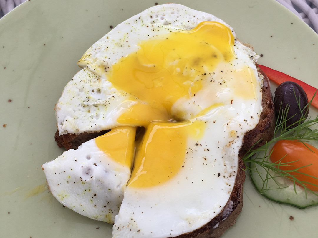 Neu Darchau旅游攻略图片