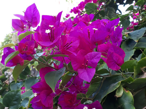 巴哈提别墅 桑给巴尔主图