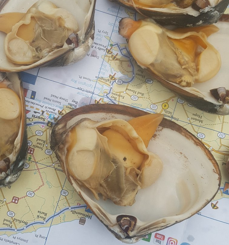 By The Sea Kayaking-Victoria必去景点