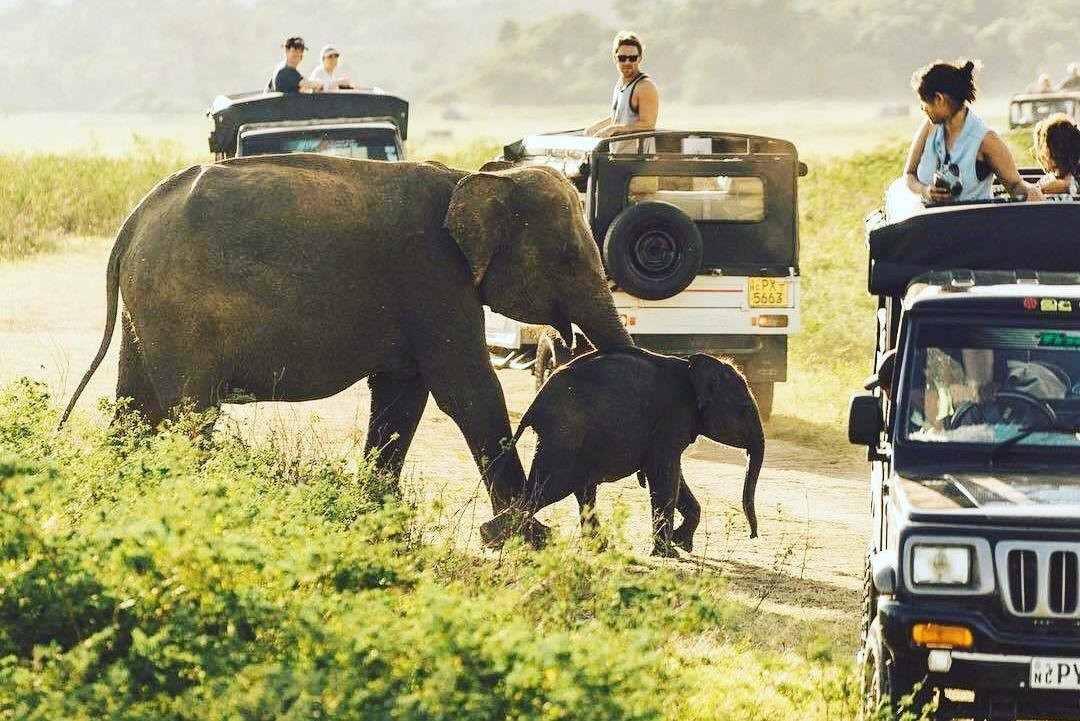 Trail Sri Lanka-卡图纳耶克必去景点