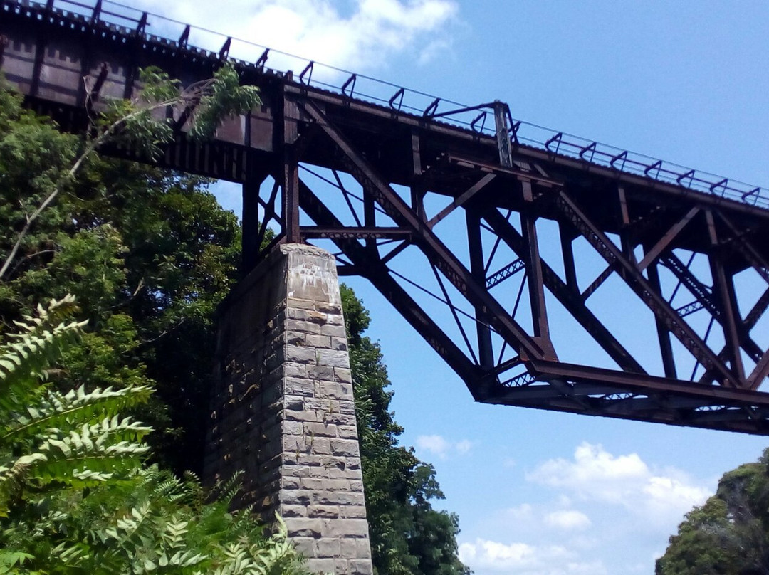 Upside Down Railroad Bridge景点图片