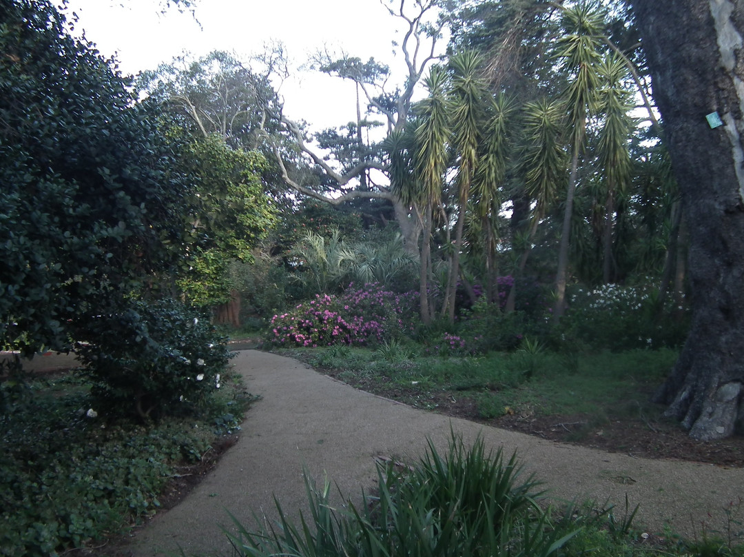Arderne Gardens景点图片