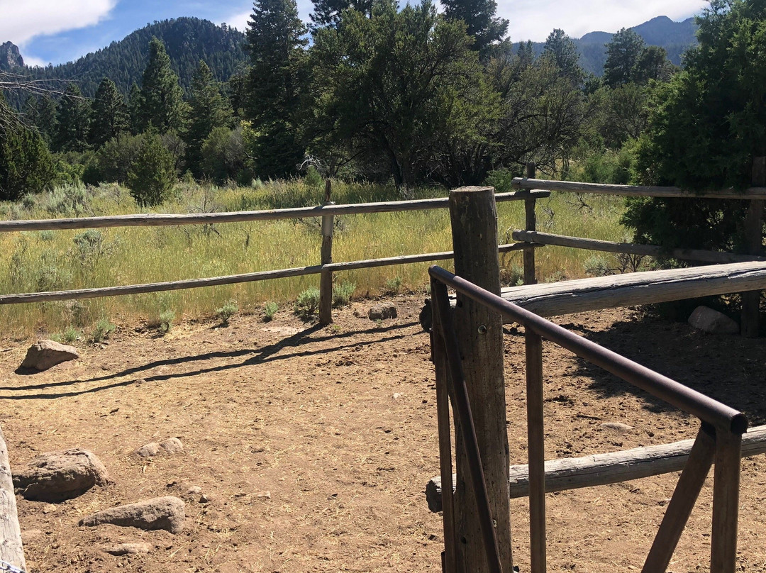 Pine Valley Recreation Area-Pine Valley必去景点