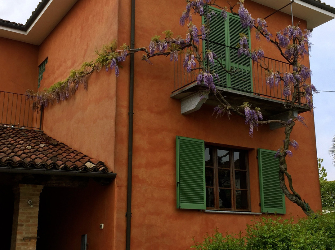 Azienda Agricola Veglio Mauro-拉莫拉必去景点