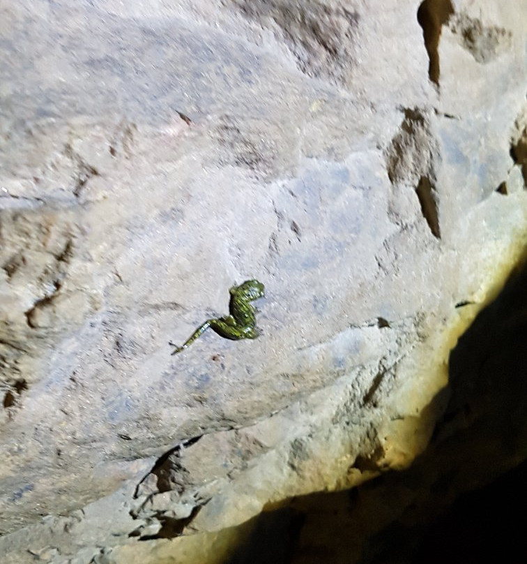 Grotta Taquisara-Gairo必去景点