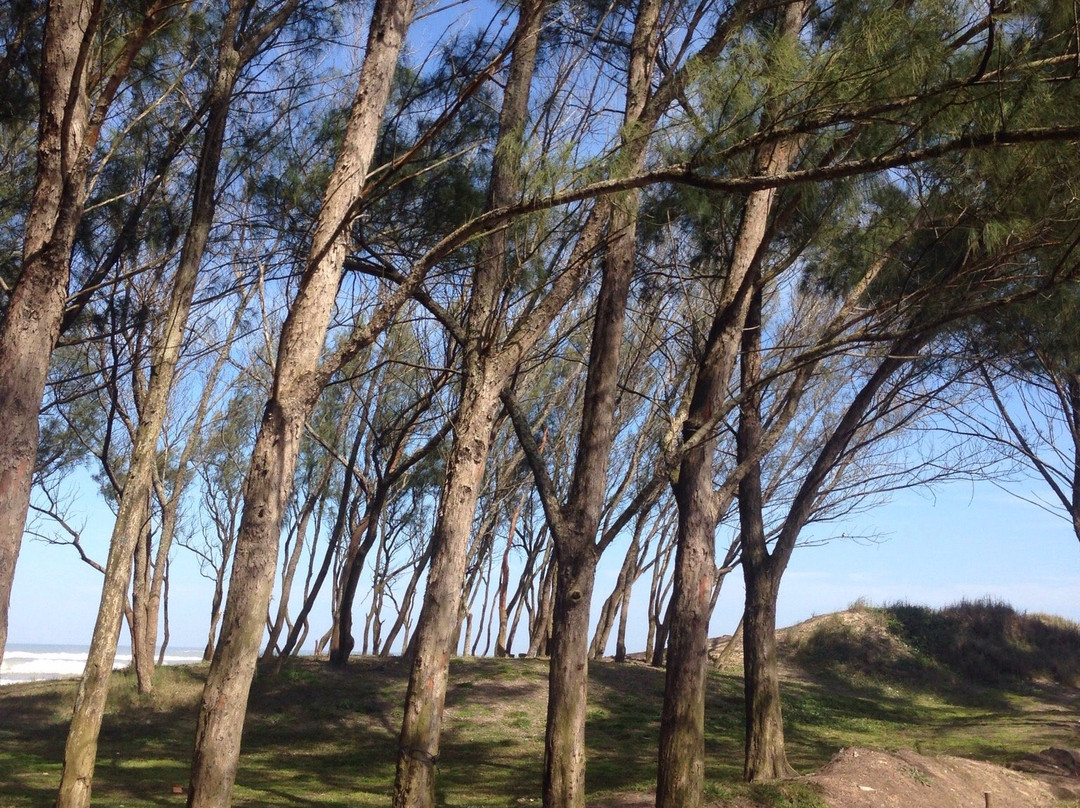 Xangri-la Beach-Capao da Canoa必去景点