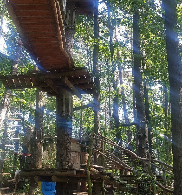 Kletterwald-Bad Saarow必去景点