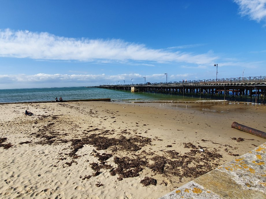 Ryde Harbour景点图片