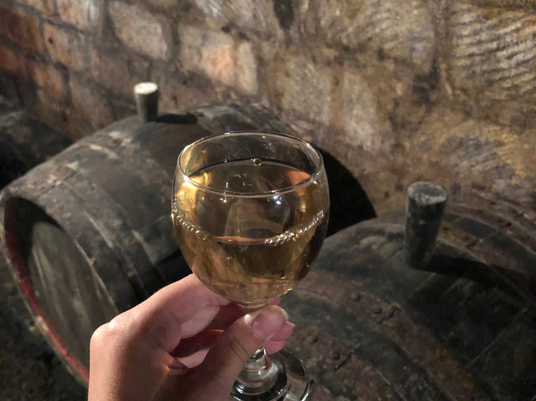 Pillango Vendeghaz主图