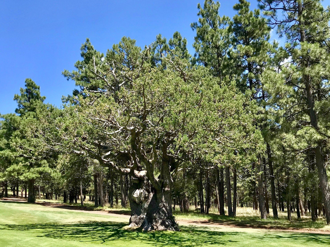 Elephant Rocks at Williams-威廉姆斯必去景点
