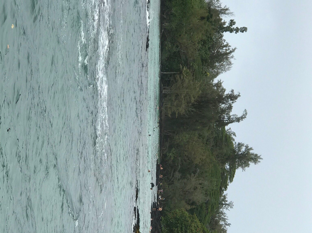 Carlsmith Beach Park景点图片