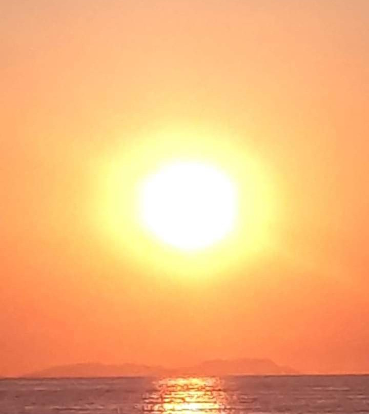 太阳花海滩公寓酒店主图