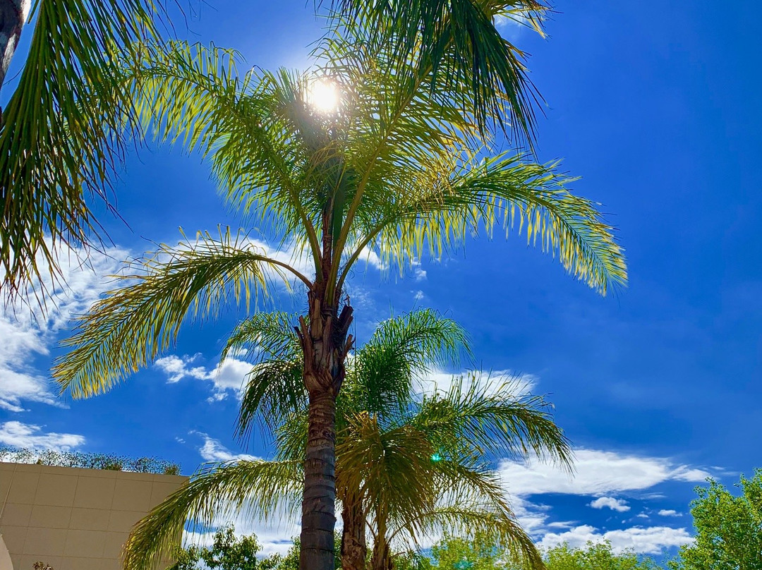 Aguascalientes Marriott Hotel主图