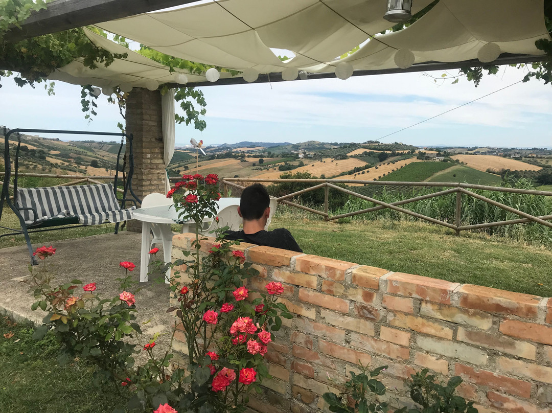 B&B Il Fosso del Gallo主图