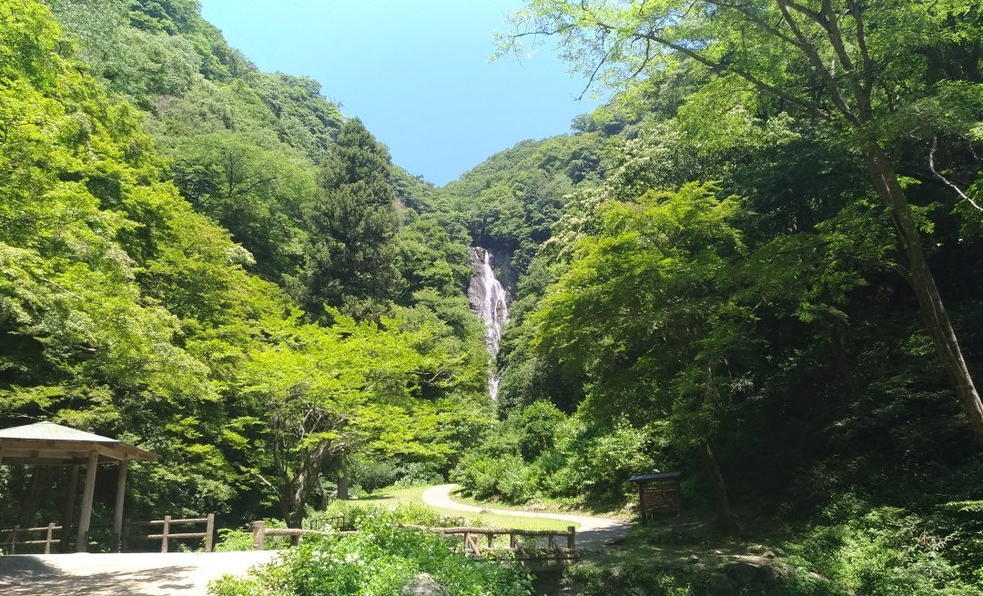 Kamba Falls景点图片