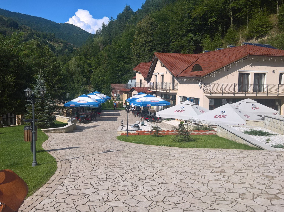 Martinie旅游攻略图片