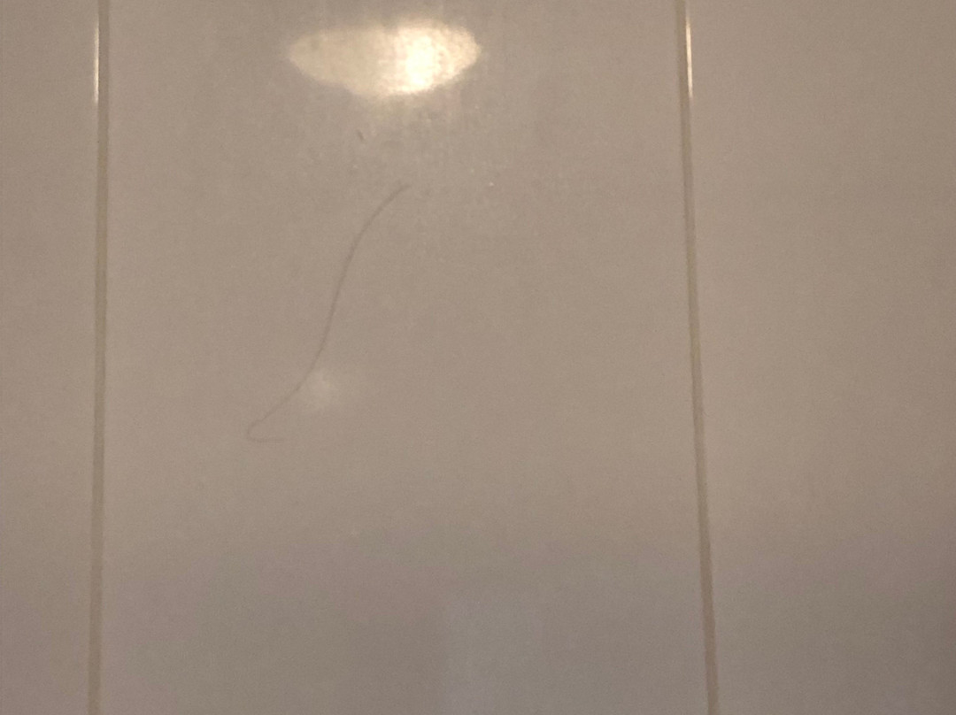 奥兰尔奥德酒店主图