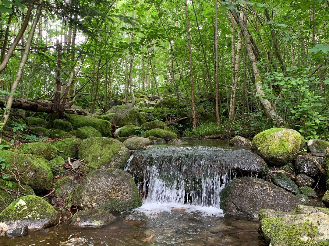 Steinparken景点图片