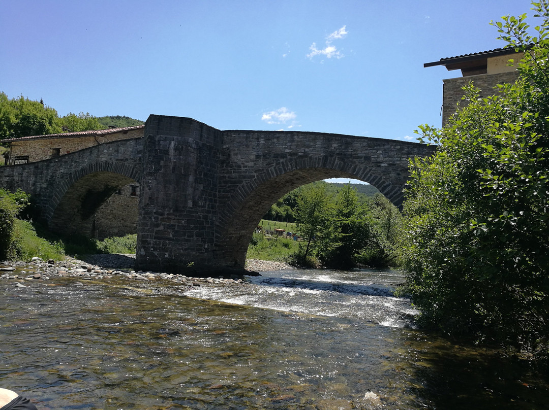 Puente de la Rabia景点图片