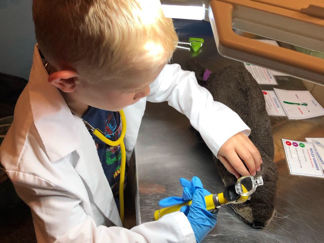 Clinic for the Rehabilitation of Wildlife (CROW)景点图片