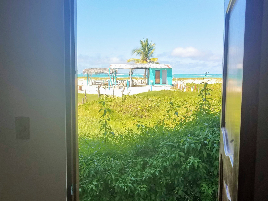 Hostal La Jungla主图