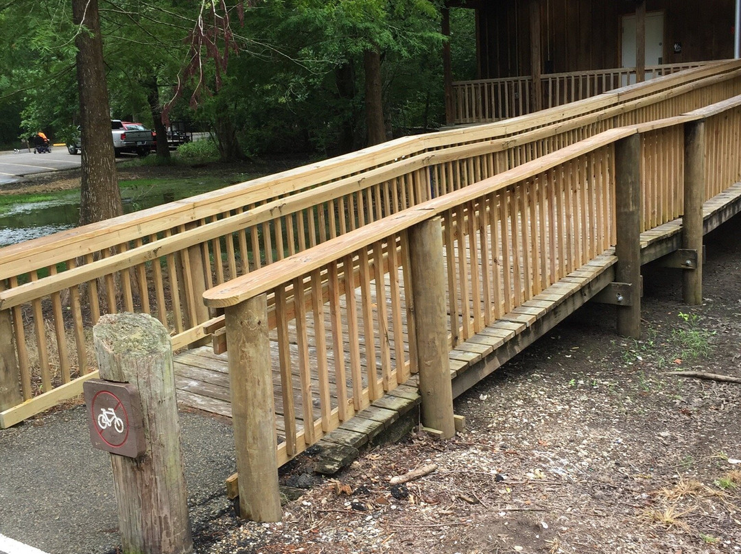 Lake Fausse Pointe State Park-Saint Martinville必去景点