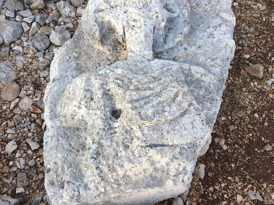 Qasr Naous-Amioun必去景点