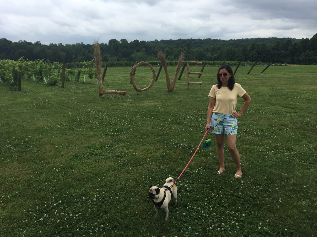 Thatch Winery-夏洛茨维尔必去景点