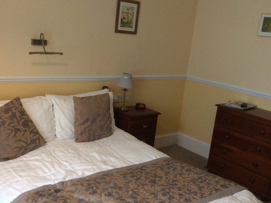 Willowbank Guesthouse主图