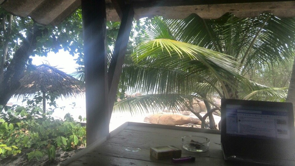 Cookies Bungalow主图