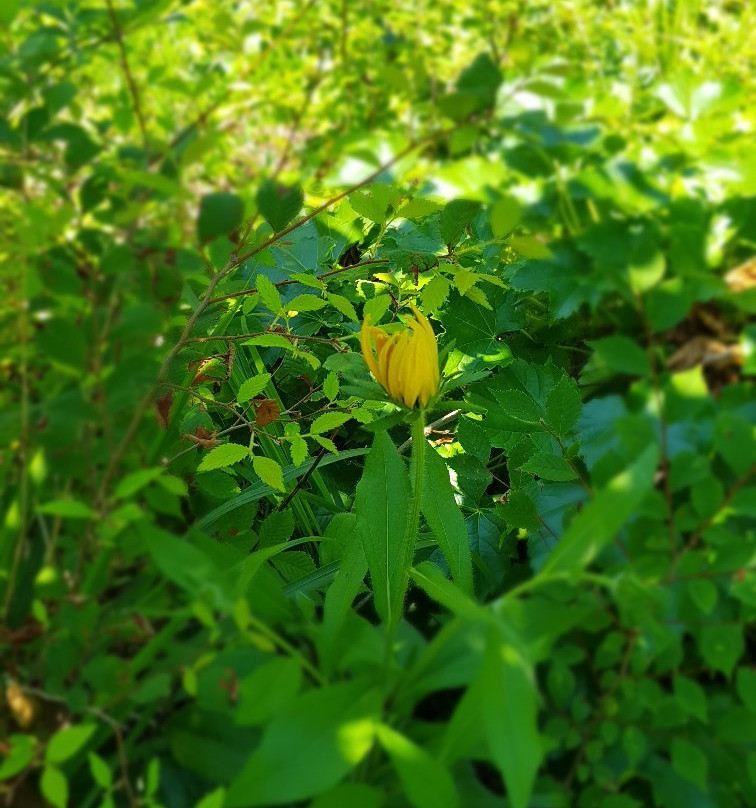 Biseondae Rocks-束草市必去景点