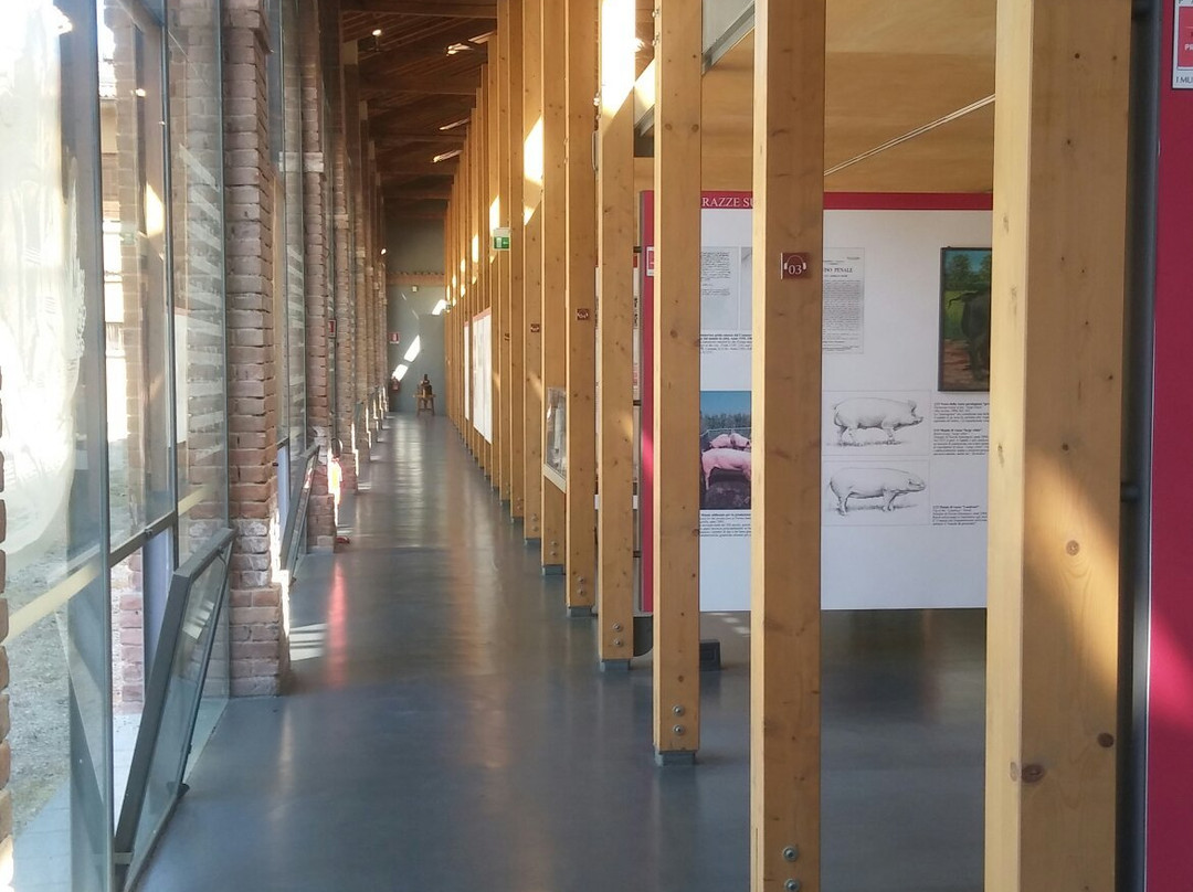 Museo del Prosciutto e dei Salumi景点图片