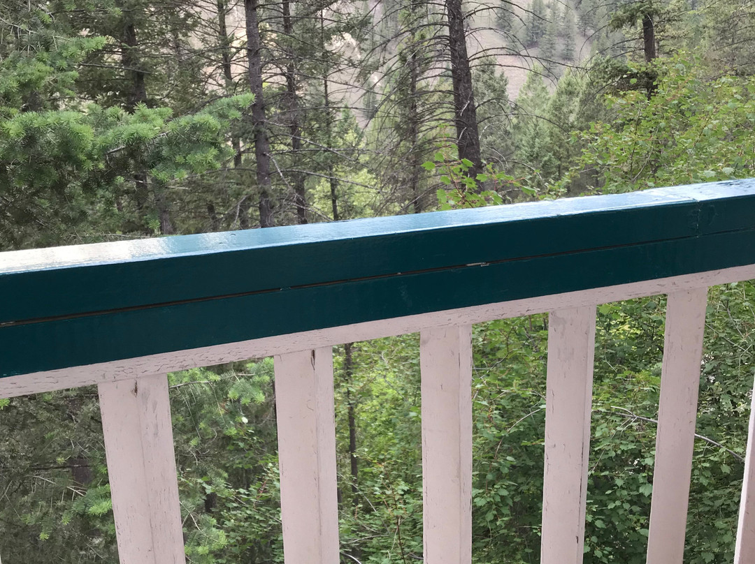 Apple Tree Inn主图