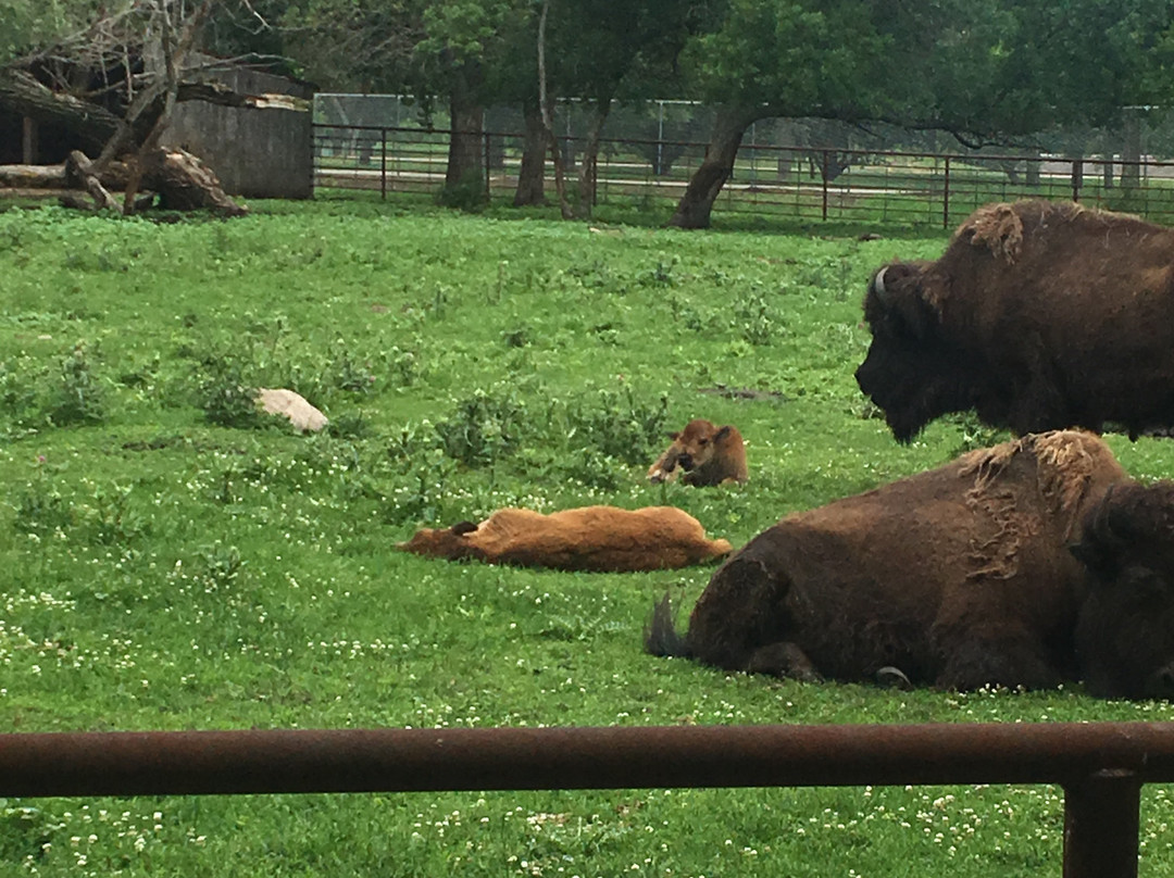 Bramble Park Zoo-沃特敦必去景点