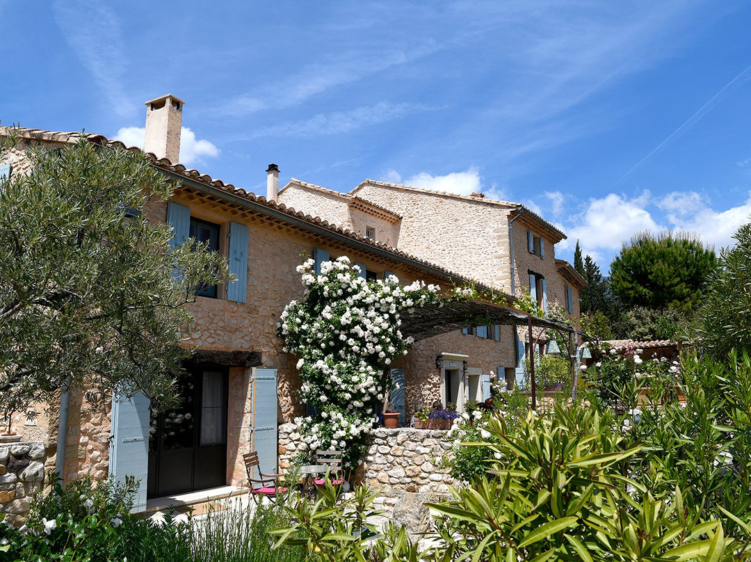 Mas des Olives主图