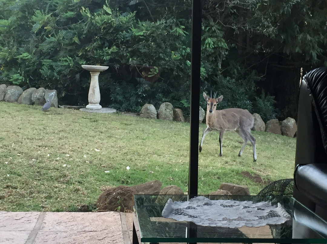 Thatchings Guest House主图