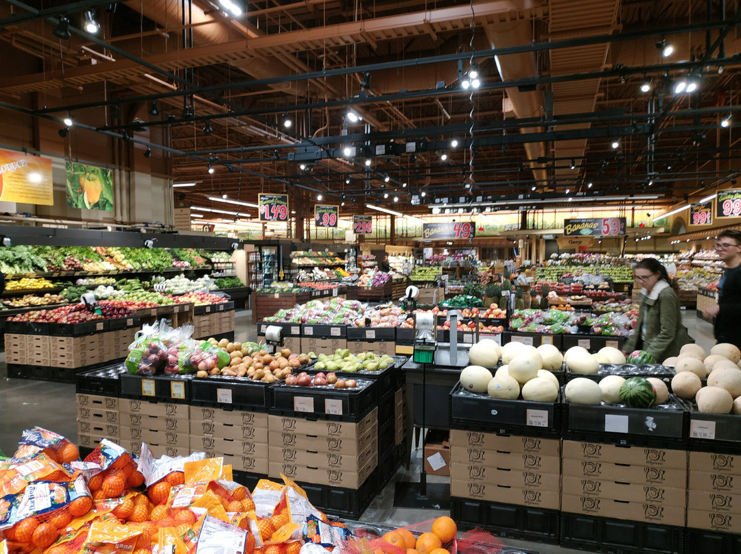 Holiday Inn Express Frazer-Malvern by IHG主图