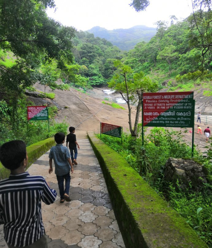 Kozhippara Falls-科泽科德必去景点