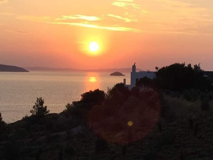 9 Muses Patmos主图