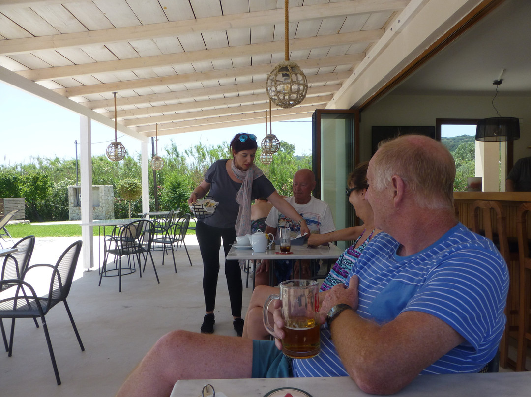 Aligis Studios主图