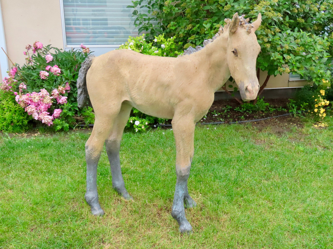 Shurniak Art Gallery-Assiniboia必去景点