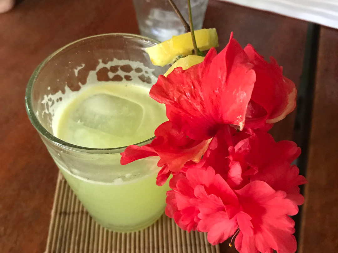 Hotel Malokamazonas主图