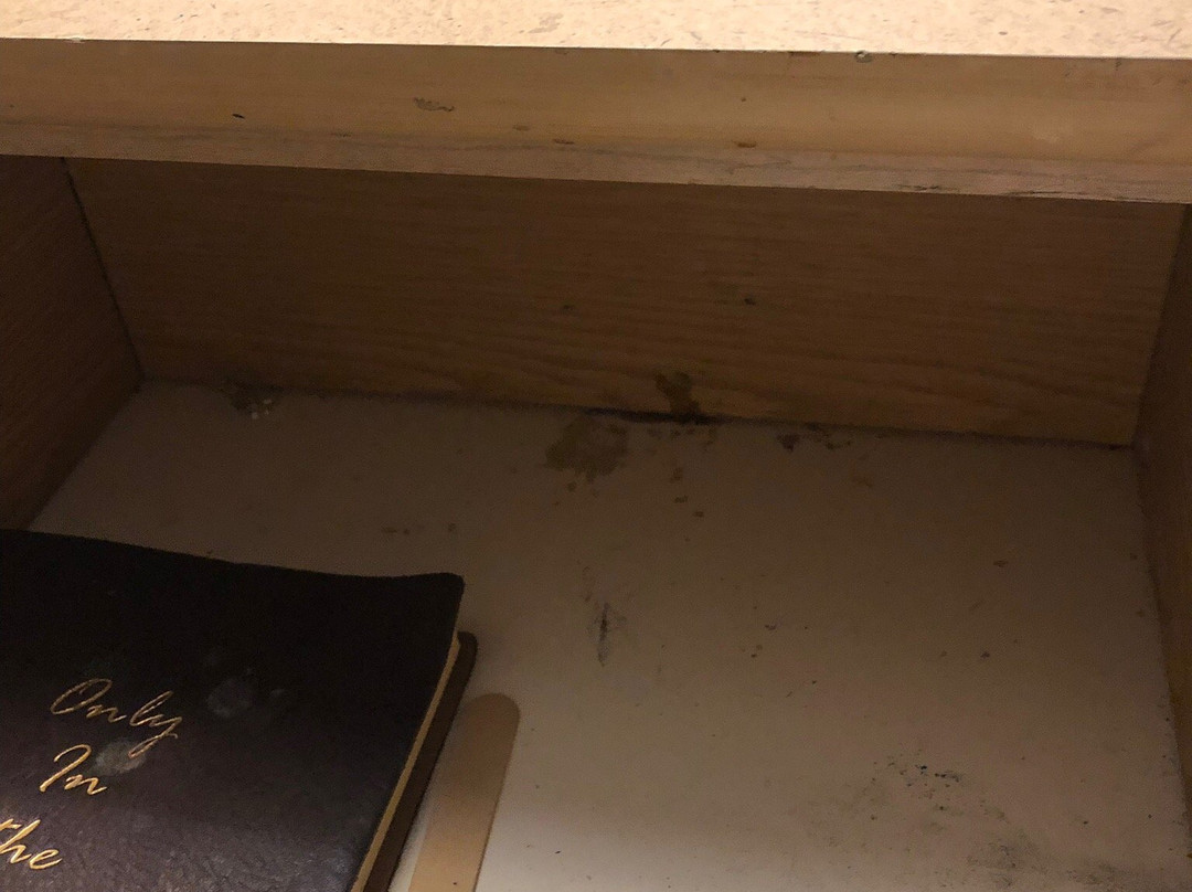 Seven Oakes Motel主图