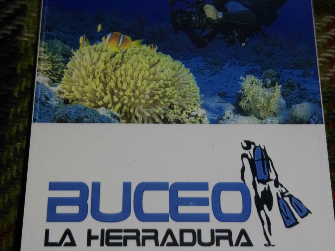 Buceo La Herradura景点图片
