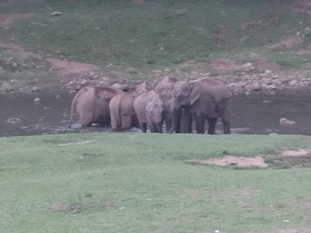 Elephant View Point景点图片