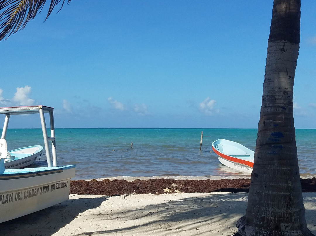 Villas Roseliz主图