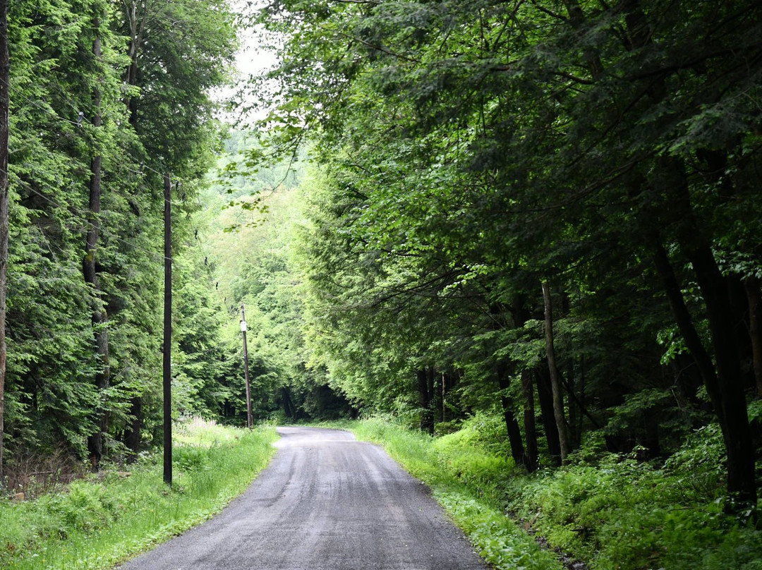 Elk State Park景点图片
