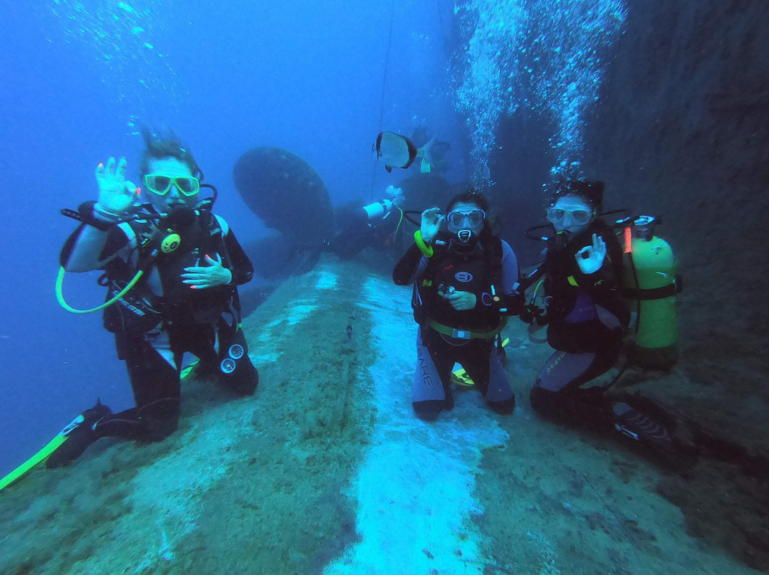Cyprus Underwater Explorers-Lapta必去景点