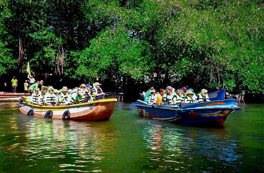 Tony Boat trips-Waikkal必去景点